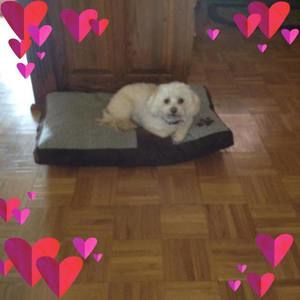 Meet your Posher, Linda